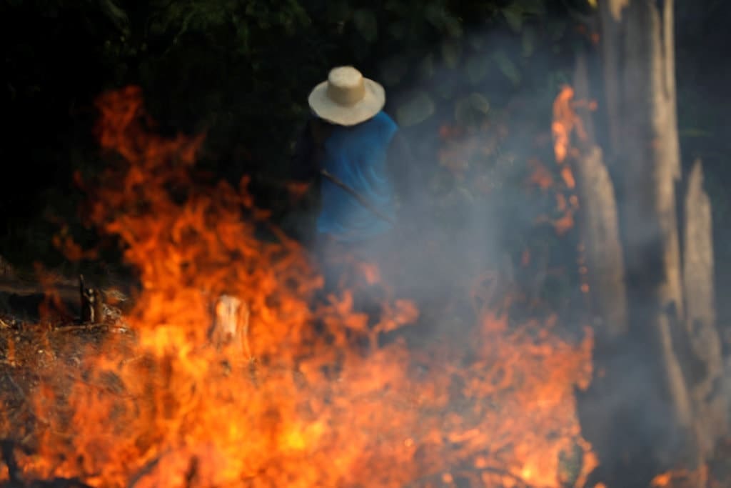 The Amazon Rainforest Is On Fire And The Smoke Has Blocked Out The Sun